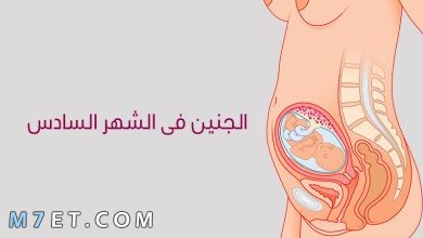 Photo of أعراض الحمل في الشهر السادس للبنت والولد