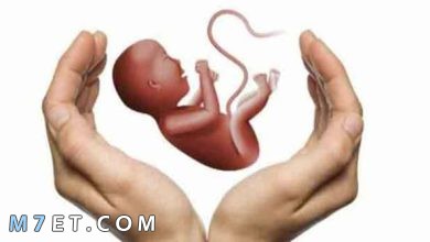 Photo of هل الإجهاض في الشهر الثاني مؤلم