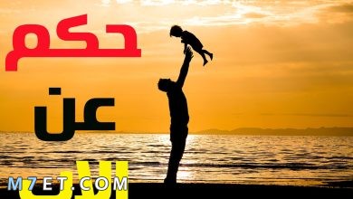 Photo of أقوى 100 حكمة عن الأب