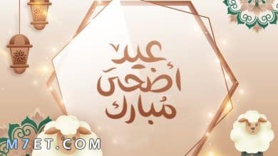 Photo of معايدات عيد الأضحى للحبيب جديدة 2024