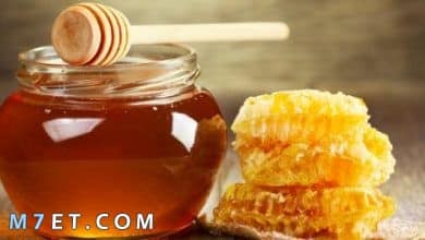 Photo of ما هي افضل انواع العسل في السوق