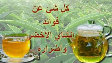 Photo of فوائد الشاي الاخضر واضراره والفوائد عند تناوله بشكل منتظم