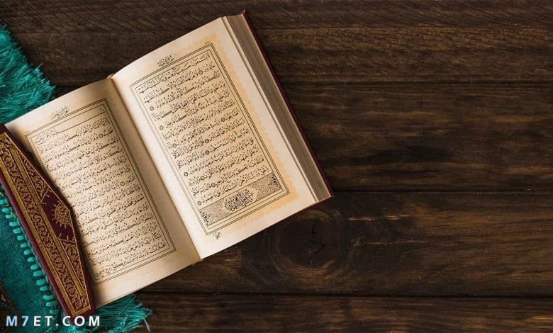 اكثر الانبياء ذكرا في القرآن