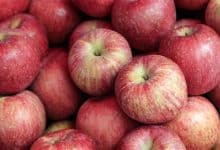 Photo of السعرات الحرارية في التفاح