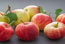 Photo of كم عدد السعرات الحرارية في التفاحة؟