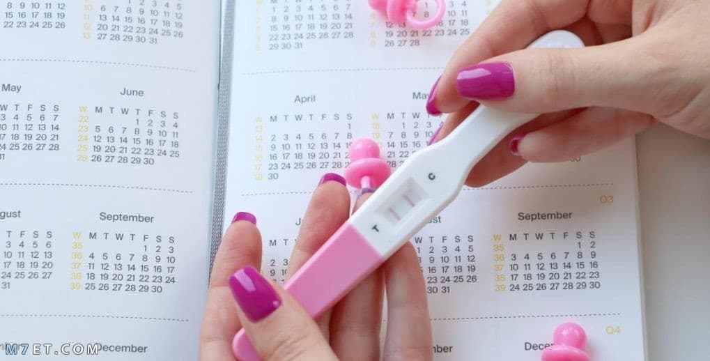 متى يحدث الحمل بعد الدورة بكم يوم