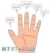 Photo of ما هي اسماء الاصابع