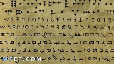 Photo of أهم المعلومات حول اللغة السريانية