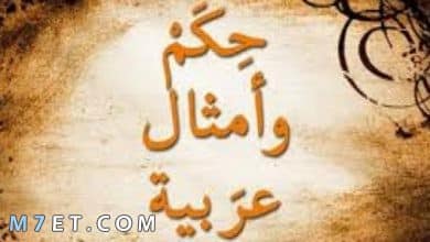 Photo of أجمل امثال عربية قديمة