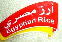 Photo of سعرات الرز المصري | السعرات الحرارية في الارز