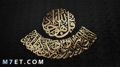 Photo of آيات قرآنية عن رحمة الله والصبر والجنة
