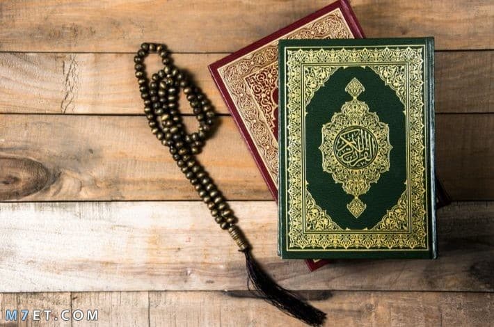 معلومات دينية إسلامية | مجموعة كبيرة من أهم المعلومات الدينية التي لم تعرفها من قبل