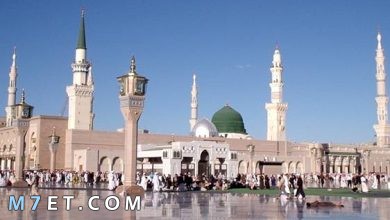Photo of فضل دعاء دخول المسجد