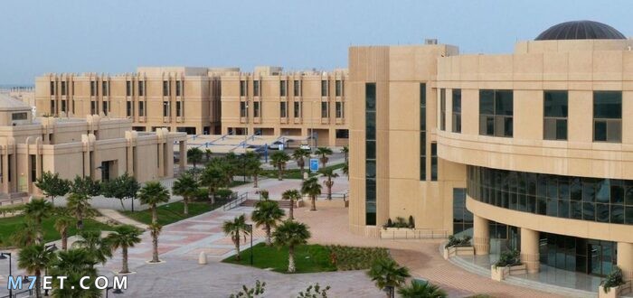 هل جامعة الناس معترف بها دوليا