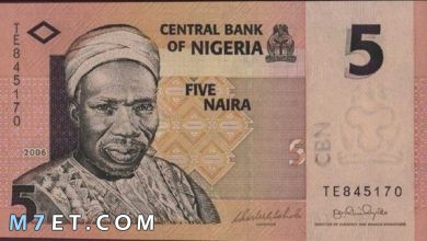 Photo of ما هي عملة نيجيريا وتاريخ العملات في نيجيريا؟