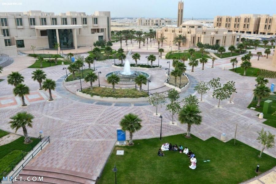 هل جامعة الناس معترف بها دوليا