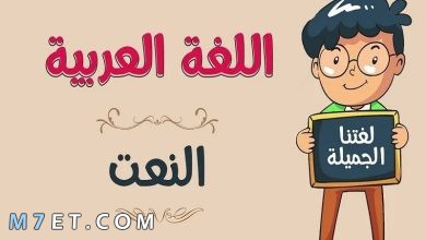 Photo of انواع النعت وأقسامه والعلاقة بين النعت والمنعوت