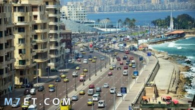 Photo of معلومات عن مدينة الإسكندرية وأهم المزارات السياحية