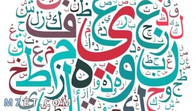 Photo of واو الجماعة وأمثلة إعرابية على واو الجماعة في الأسماء 