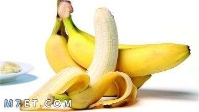 Photo of تفسير أكل الموز في المنام تعرف على التفسيرات المختلفة؟