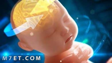 Photo of اعراض الكهرباء الزائدة عند الرضع