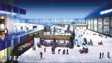 Photo of مدينة الثلج في مول مصر