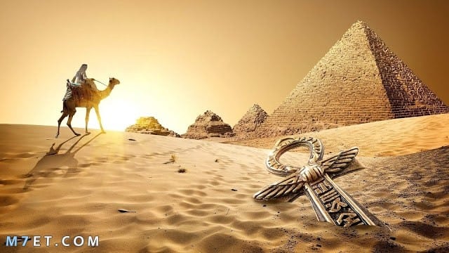 أجمل موضوع تعبير عن مصر بكافة العناصر الأساسية والأفكار المتنوعة