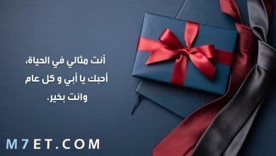 Photo of كلام لعيد ميلاد الاب | اجمل عبارات عيد ميلاد ابي