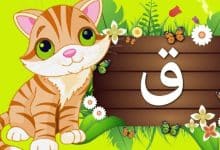 Photo of اسم نبات بحرف القاف من الفواكه والتوابل والمشروبات
