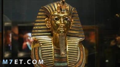 Photo of التماثيل الفرعونية وأنواعها