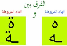 Photo of ما الفرق بين الهاء والتاء المربوطة
