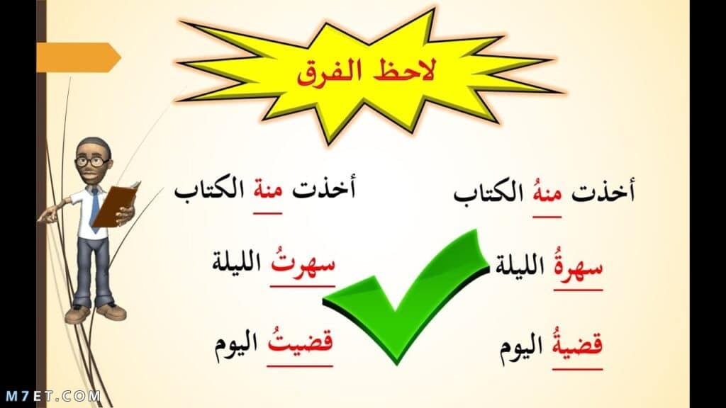 الفرق بين الهاء والتاء المربوطة