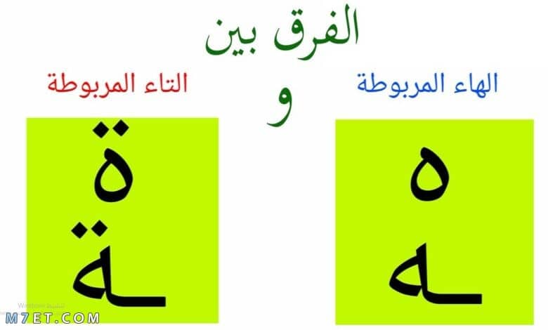 الفرق بين الهاء والتاء المربوطة