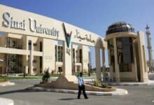 Photo of جامعة سيناء فرع العريش