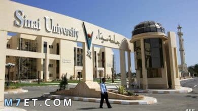 Photo of جامعة سيناء فرع العريش