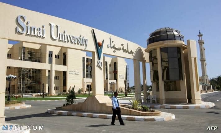جامعة سيناء فرع العريش