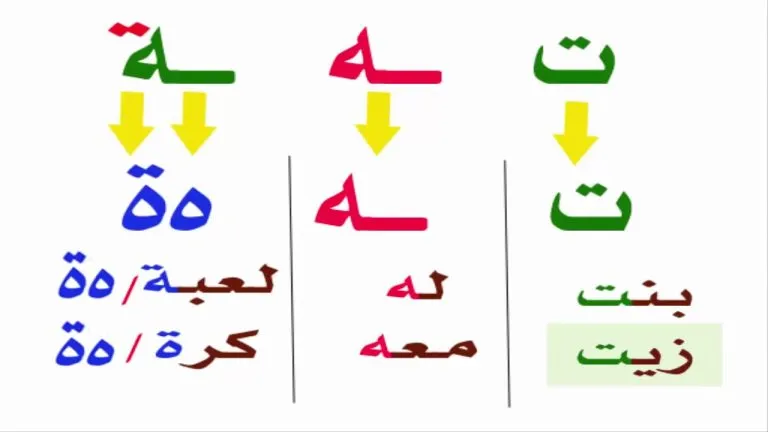 الفرق بين الهاء والتاء المربوطة