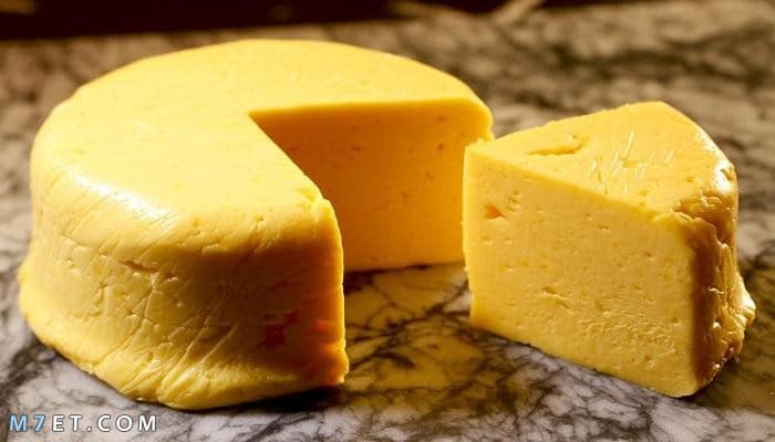 دراسة جدوى مشروع الجبنة الرومي