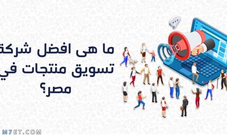 شركات التسويق الالكترونى فى مصر