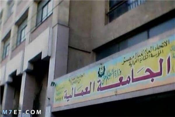 جامعة عمالية تكنولوجيا مدينة نصر بمصروفات