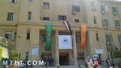 Photo of جامعة عمالية تكنولوجيا مدينة نصر بمصروفات 2024
