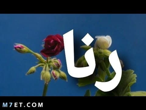 دلع اسم رنا