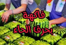 Photo of فاكهة بحرف الحاء وأهم فوائد الفاكهة