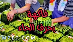 Photo of فاكهة بحرف الحاء وأهم فوائد الفاكهة