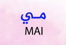 Photo of معنى اسم مى وحكم التسمية به في الإسلام